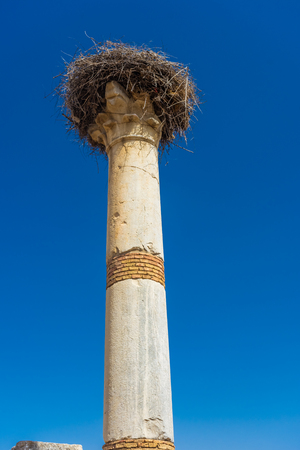 Stork's nest on the roman column of Volubilis, Moroccoの写真素材