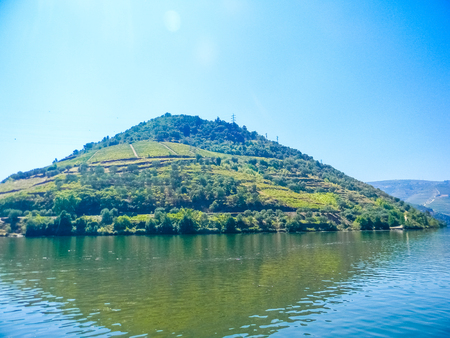 Vineyards of the Douro Valley in Pinhao, Portugalの写真素材
