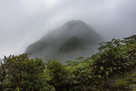 The Mount Pelee Volcano and the fog in the jungle of Martiniqueの写真素材