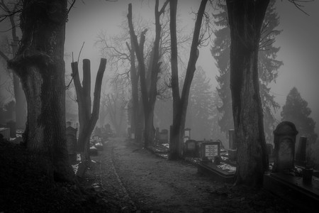 Fog in the creepy graveyard of Sighisoara, Romaniaの写真素材