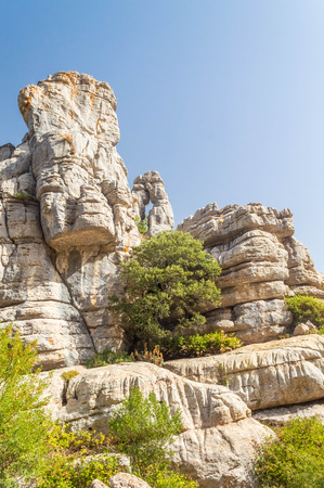 El Torcal rock formations, Andalusia, Spainの写真素材