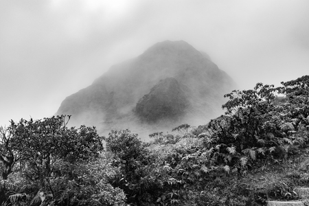 The Mount Pelee Volcano and the fog in the jungle of Martiniqueの写真素材