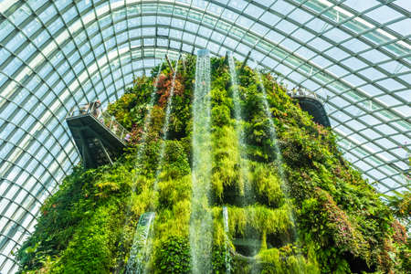 SINGAPORE, 3 OCTOBER 2019: Waterfall of the Cloud Forest in Singaporeのeditorial素材
