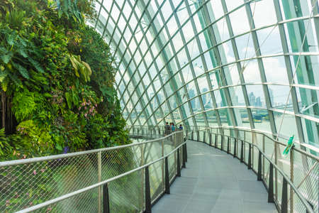 SINGAPORE, 3 OCTOBER 2019: the Cloud Forest in Singaporeのeditorial素材
