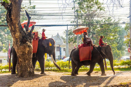 AYUTTHAYA, THAILAND, 12 JANUARY 2020: Elephants transporting tourists in Ayutthayaのeditorial素材