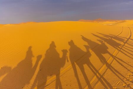 Shadow of camels riding in the Sahara Desert, Merzouga, Moroccoの写真素材