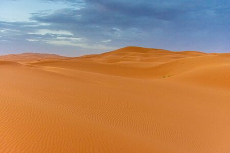 Beautiful landscape of the dunes of the Sahara Desert at dusk, Merzouga, moroccoの写真素材