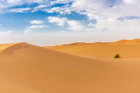 Beautiful landscape of the dunes of the Sahara Desert at dusk, Merzouga, moroccoの写真素材