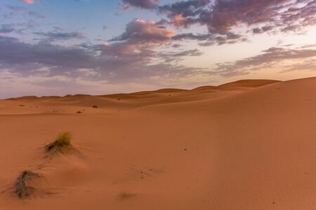 Dawn in the dunes of the Erg Chebbi, Sahara Desert, Moroccoの写真素材