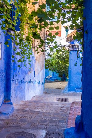 Cozy street in Chefchaouen, Moroccoの写真素材