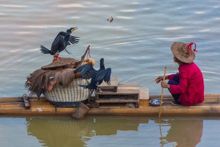 YANGSHUO, CHINA, 6 DECEMBER 2019: Cormorant fisherman on the Li River in Yangshuoのeditorial素材