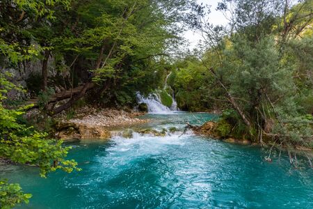 Plitvice Lakes in the forest, Croatiaの写真素材