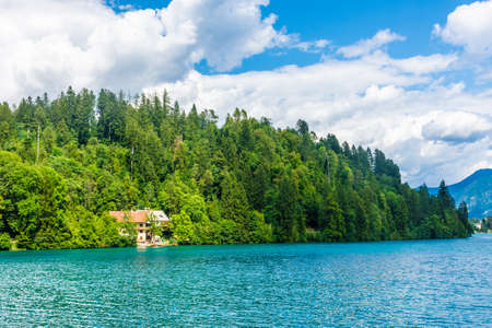 Wood and trees over Lake Bled, Sloveniaのeditorial素材