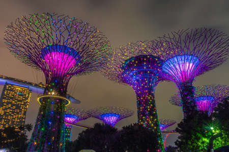 SINGAPORE, 3 OCTOBER 2019: The Supertrees of Gardens by the bay