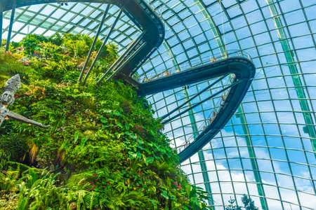 SINGAPORE, 3 OCTOBER 2019: the Cloud Forest in Singaporeのeditorial素材