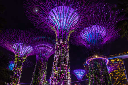 SINGAPORE, 3 OCTOBER 2019: The Supertrees of Gardens by the bay by nightのeditorial素材
