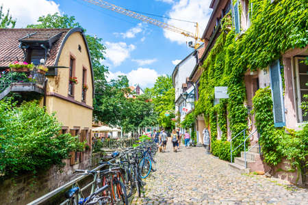 FREIBURG IM BRISGAU, GERMANY, 18 JULY 2020: Greenery on historic buildings of the city center