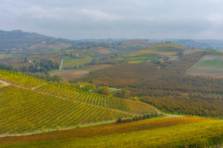 Amazing autumnal landscape in the Langhe, famous vineyard area in Piedmont, Italy