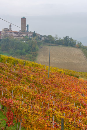 Amazing autumnal landscape in Barbaresco, Langhe, famous vineyard area in Piedmont Italyの写真素材