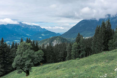 Beautiful landscape of the bavarian valley from Mount Jenner in Germany