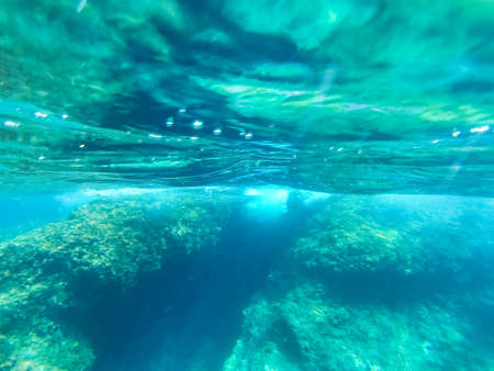Underwater landscape with fishes and wildlife in the Adriatic Sea of Salento, Apulia, Italy