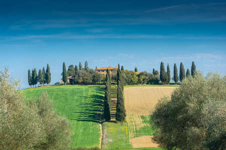 Famous villa with country road flanked by cypresses in Tuscany, Italyの写真素材