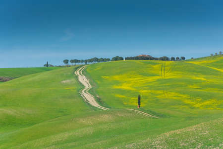 Beautiful green hills in the countryside of Tuscany, Italy
