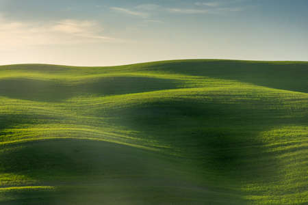 Beautiful green hills in the countryside of Tuscany, Italy