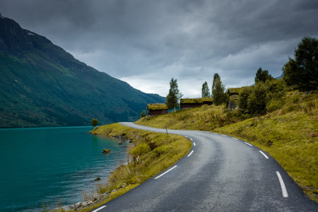 Wooden rorbus, typical houses with grass on the roof, on the Lovatnet Lake, Norwayの写真素材