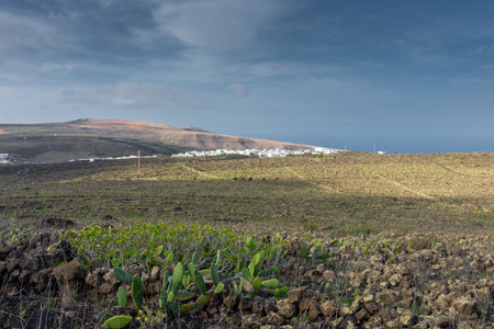 Volcanic landscape of Lanzarote, Spainの写真素材