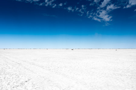 White salt marsh in the Aral Sea desert, Kazakhstanの写真素材