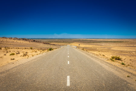 Highway through the Kyzylkum Desert of Uzbekistanの写真素材
