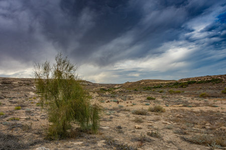 Moody landscape of the dry desert of the former Aral Sea, Uzbekistanの写真素材