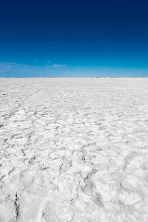 White salt marsh in the Aral Sea desert, Kazakhstanの写真素材