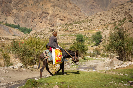Haft Kul, Tajikistan, 21 August 2023: Little kid riding a donkey in the Fann Mountainsの写真素材