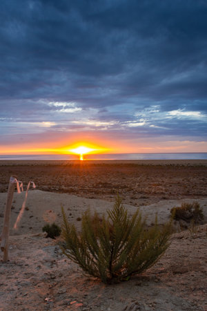 Sunset over the Aral Sea desert, Uzbekistanの写真素材