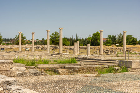 Ancient greek columns in Pella, archaeological site in Macedonia, birthplace of Alexander the Great, Greeceの写真素材