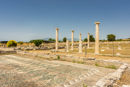 Ancient greek columns in Pella, archaeological site in Macedonia, birthplace of Alexander the Great, Greeceの写真素材
