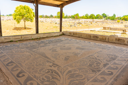 Ancient mosaics in Pella, archaeological site in Macedonia, birthplace of Alexander the Great, Greeceの写真素材