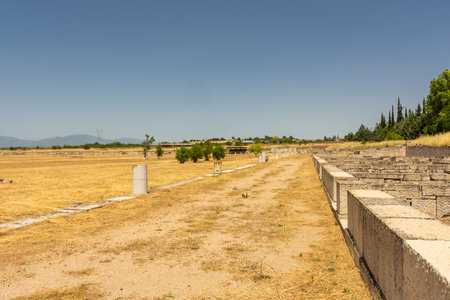 Ancient greek columns in Pella, archaeological site in Macedonia, birthplace of Alexander the Great, Greeceの写真素材