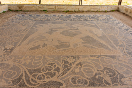 Ancient mosaics in Pella, archaeological site in Macedonia, birthplace of Alexander the Great, Greeceの写真素材