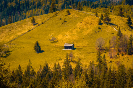 Wooden hut in the hills of Bucovina, at the border between Ukraine and Romaniaの写真素材