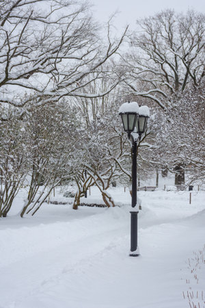 Snowy park of Riga in winter, Latviaの写真素材