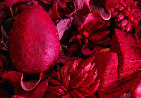 Mix of dried, red leaves and nuts for the fallの写真素材