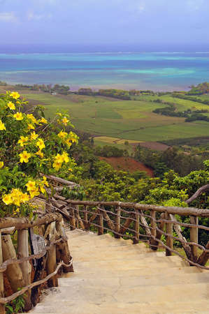 Stair with flowers against blue sky and ocean backgroundの写真素材