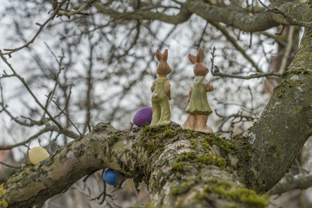 Colorful easter eggs and easter bunny on a treeの写真素材