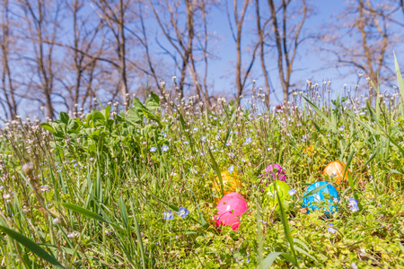 Easter egg on grass with beautiful flowersの写真素材