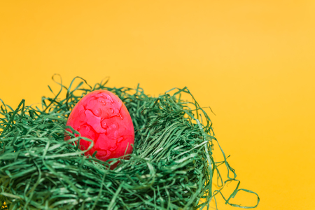 Easter egg in a nest easter made of green grass and yellow backgroundの写真素材