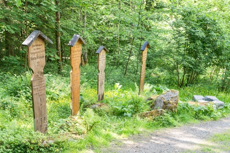 Germany, Grafenau, May 27, 2017, Dead boards at the brothers well (Brudersbrunn) near Grafenau in the bavarian forestのeditorial素材
