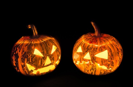 Halloween pumpkin in front of black backgroundの写真素材